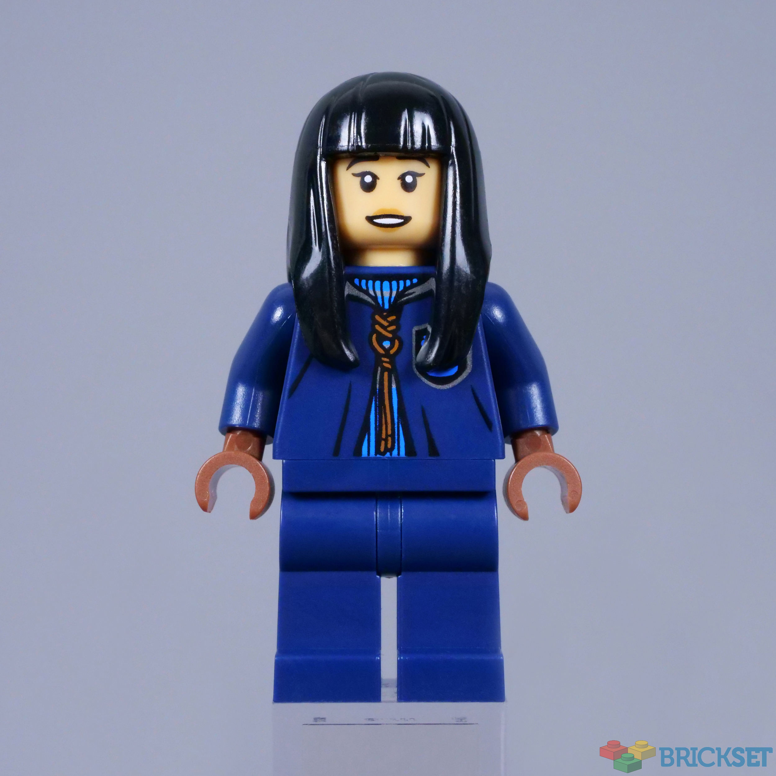 Lego best sale ravenclaw quidditch